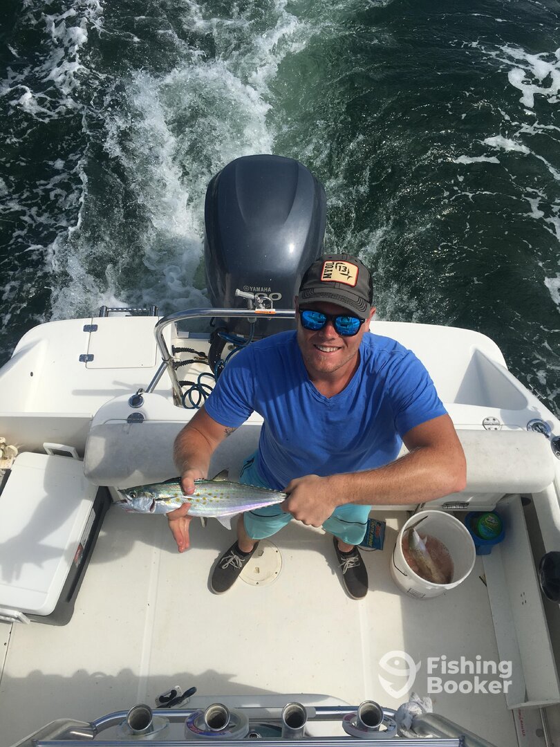 Virginia Beach Report Photo 0