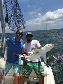 Virginia Beach Report Photo 2