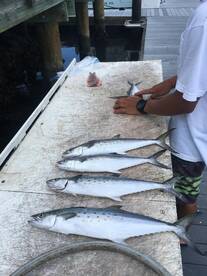 Virginia Beach Report Photo 1