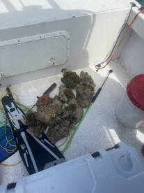 North Sound Estates Report Photo 4