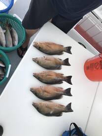 Everybody is having fun!