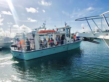 Key West Report Photo 2