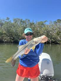 Sarasota Report Photo 2