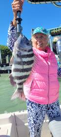 Bonita Springs Report Photo 2