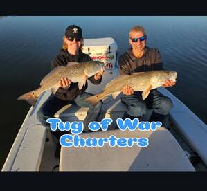 Tug Of War!!! Tug on it!!!