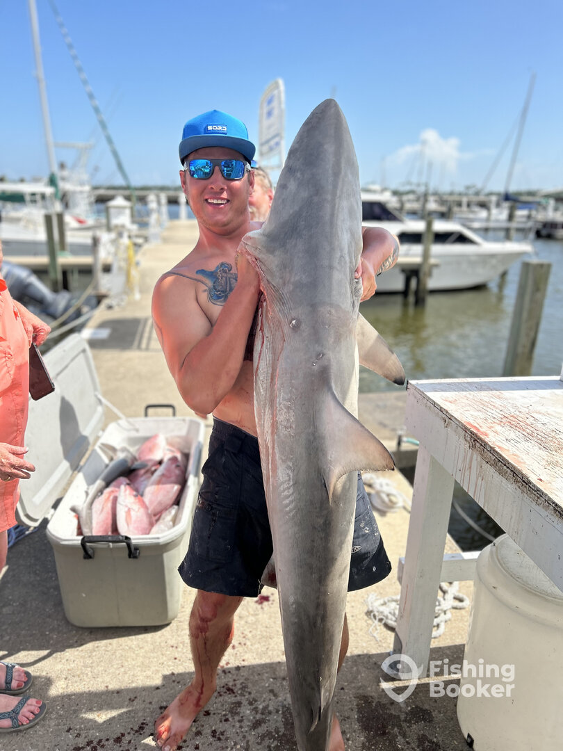 Biloxi Report Photo 0