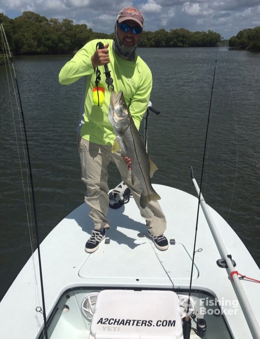 Snook on artificial!