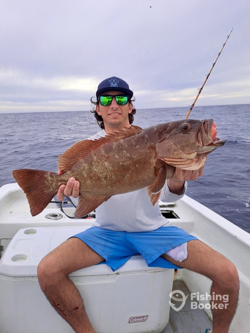 San Jose del Cabo Report Photo 0
