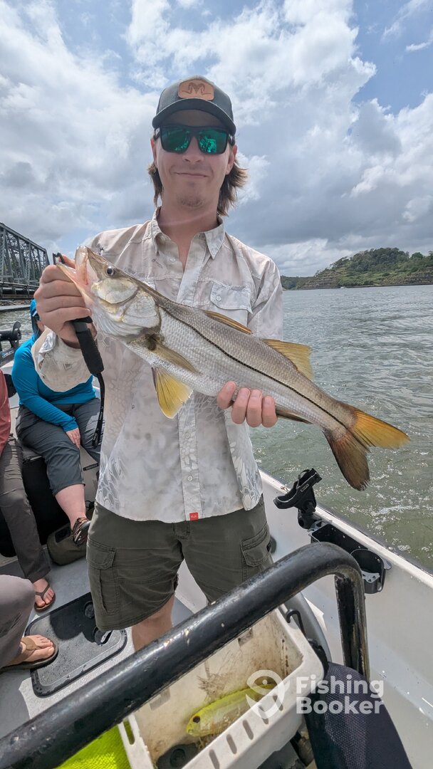 Gamboa Report Photo 0