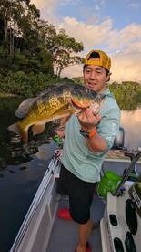 Gamboa Report Photo 1