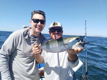Puerto Vallarta Report Photo 2