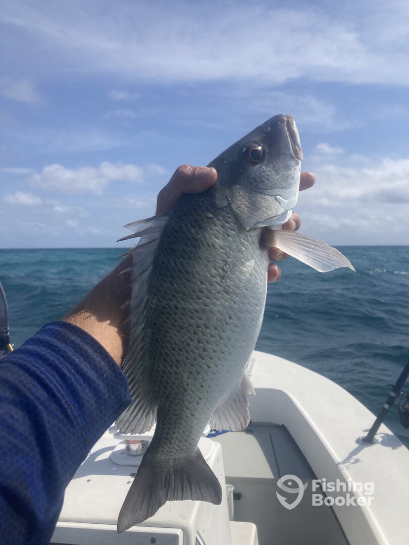 Boynton Beach Report Photo 0
