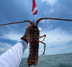 Stock Island Report Photo 2