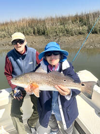 Hilton Head Island Report Photo 2