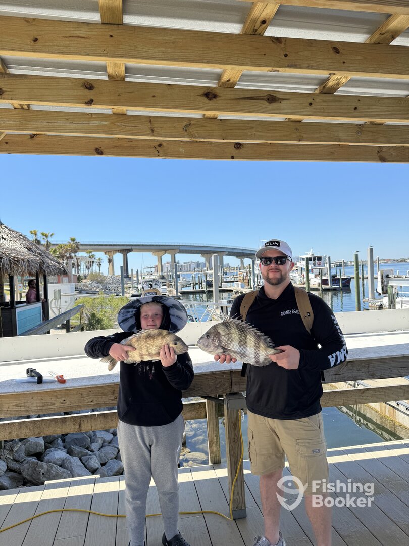 Orange Beach Report Photo 0