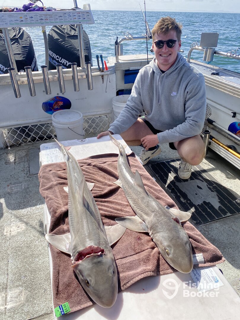 Corio Bay Report Photo 0