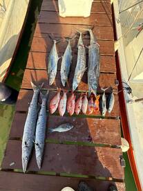 Oakridge Report Photo 2