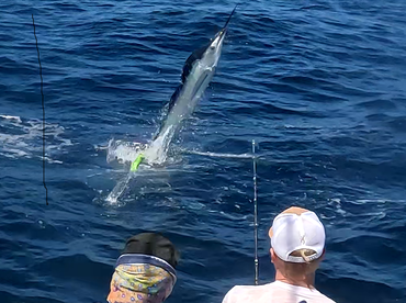 Ambition Report 26th.February’25