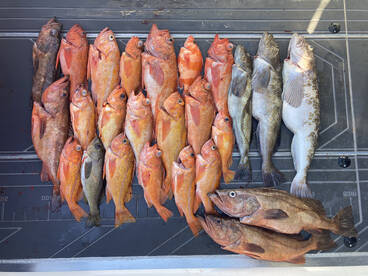 April 1st Rockfish season opener!!