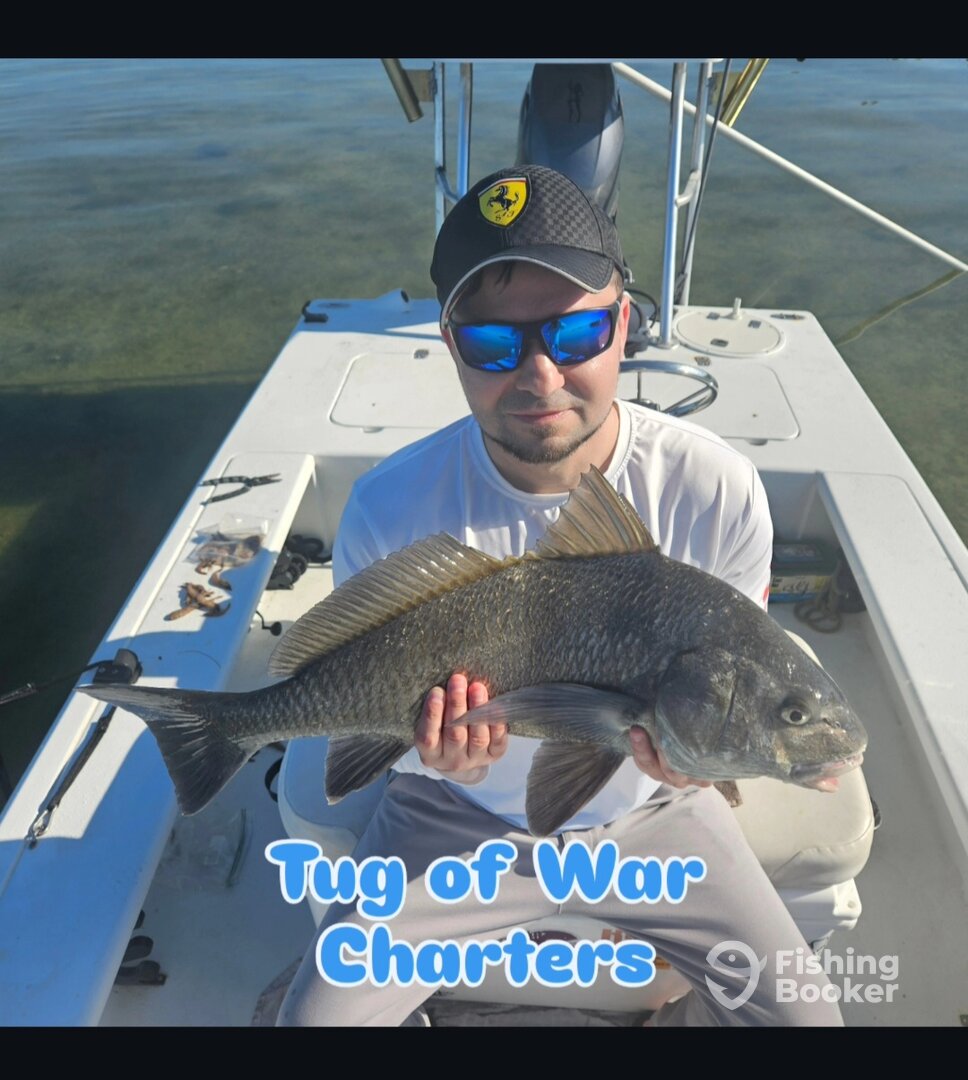 New Smyrna Beach Report Photo 0