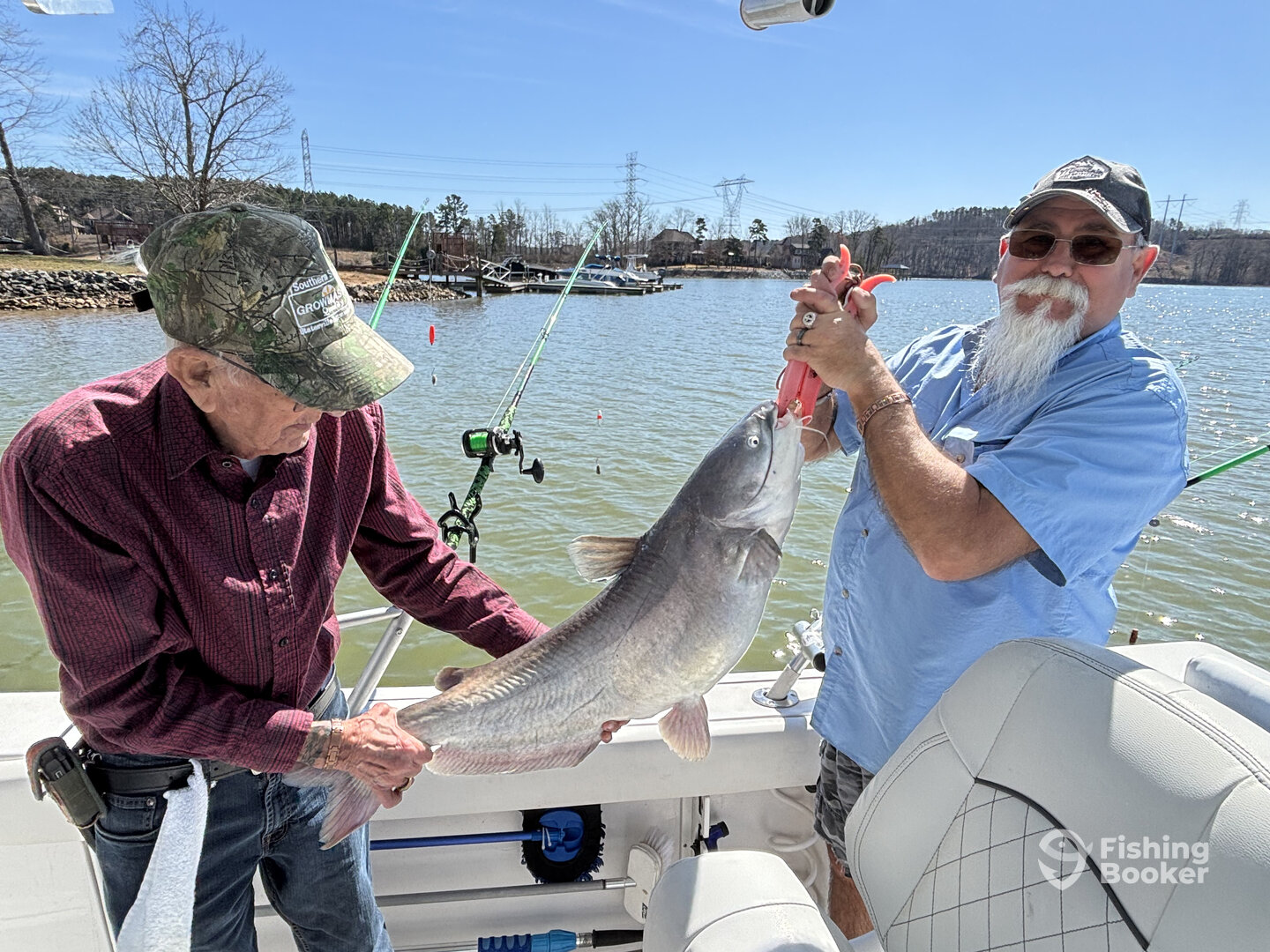 Tega Cay Report Photo 0