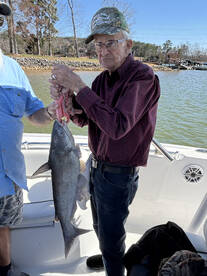Tega Cay Report Photo 1