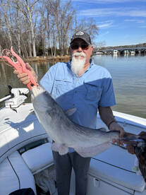 Tega Cay Report Photo 2