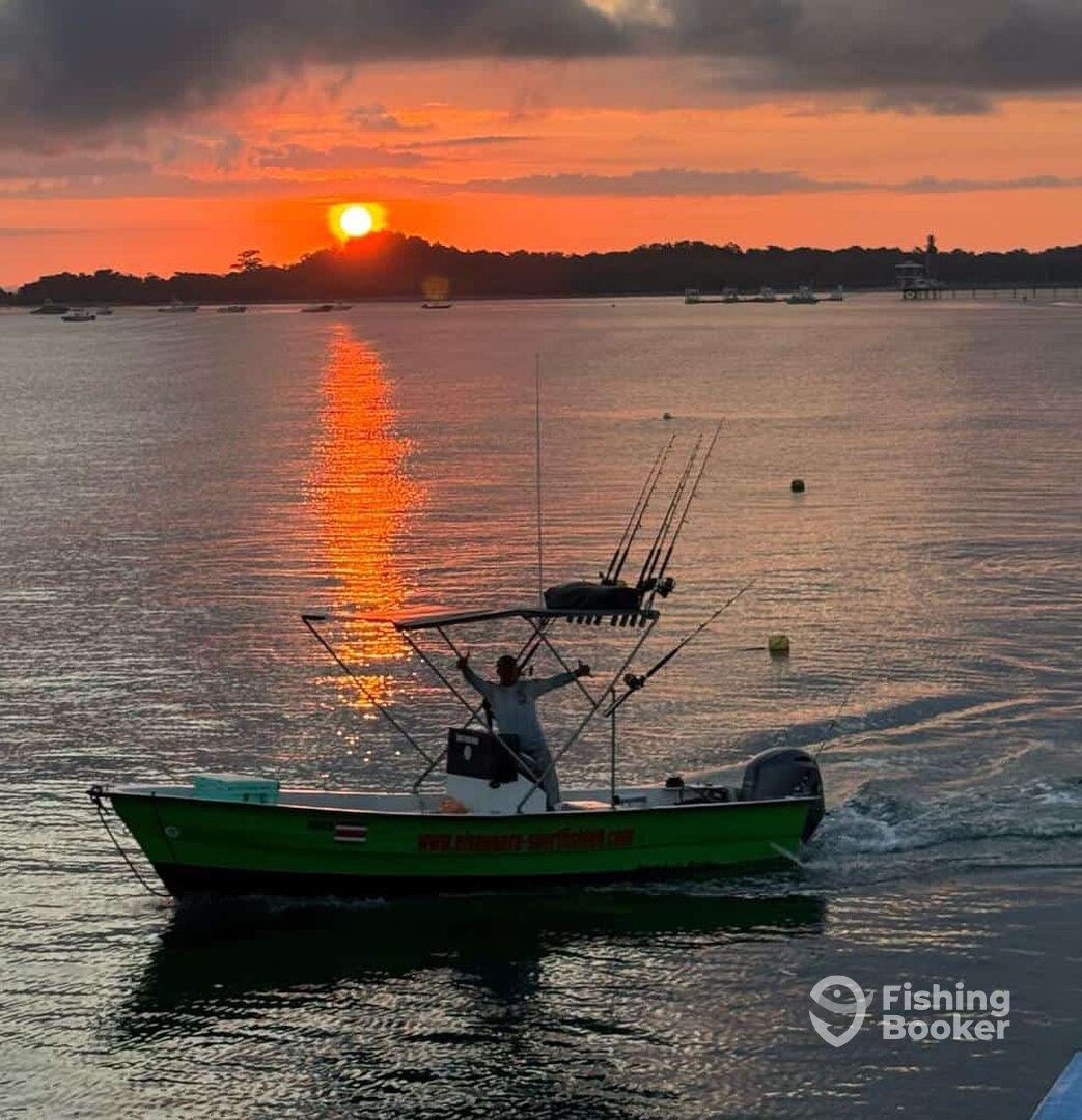 Puerto Jiménez Report Photo 0