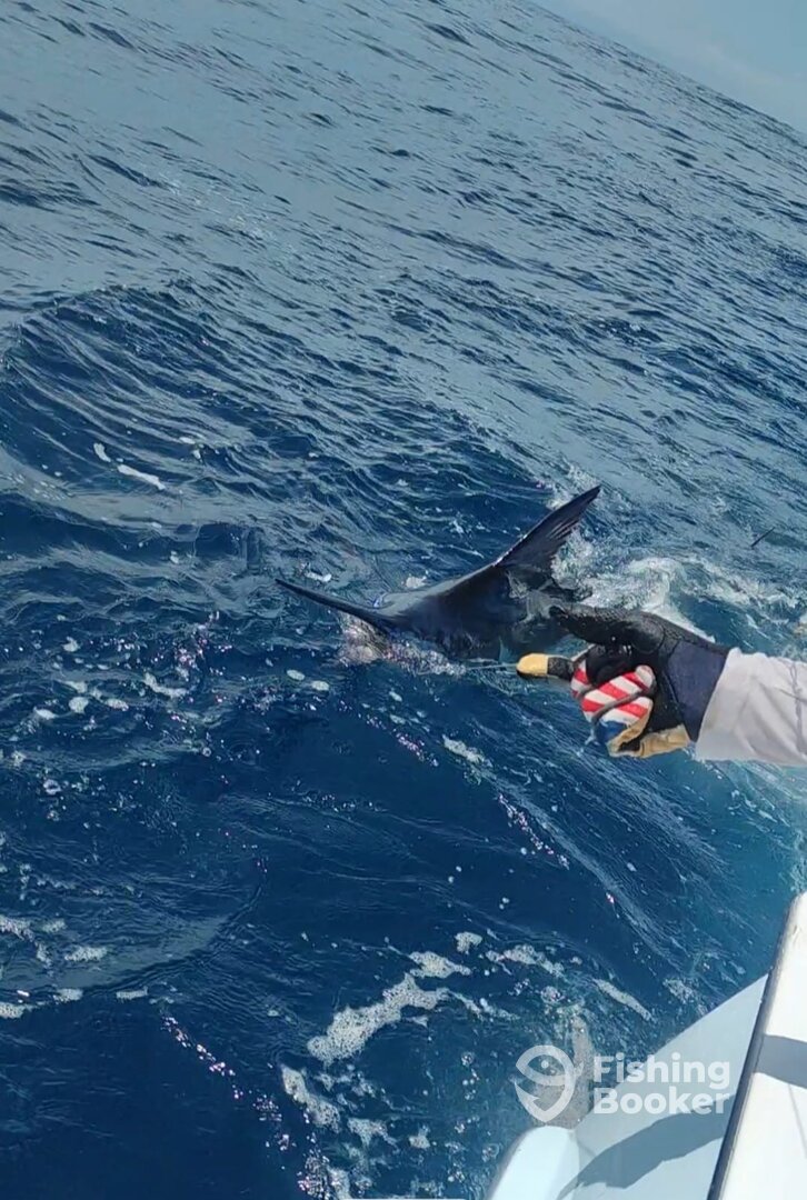 Herradura Report Photo 0