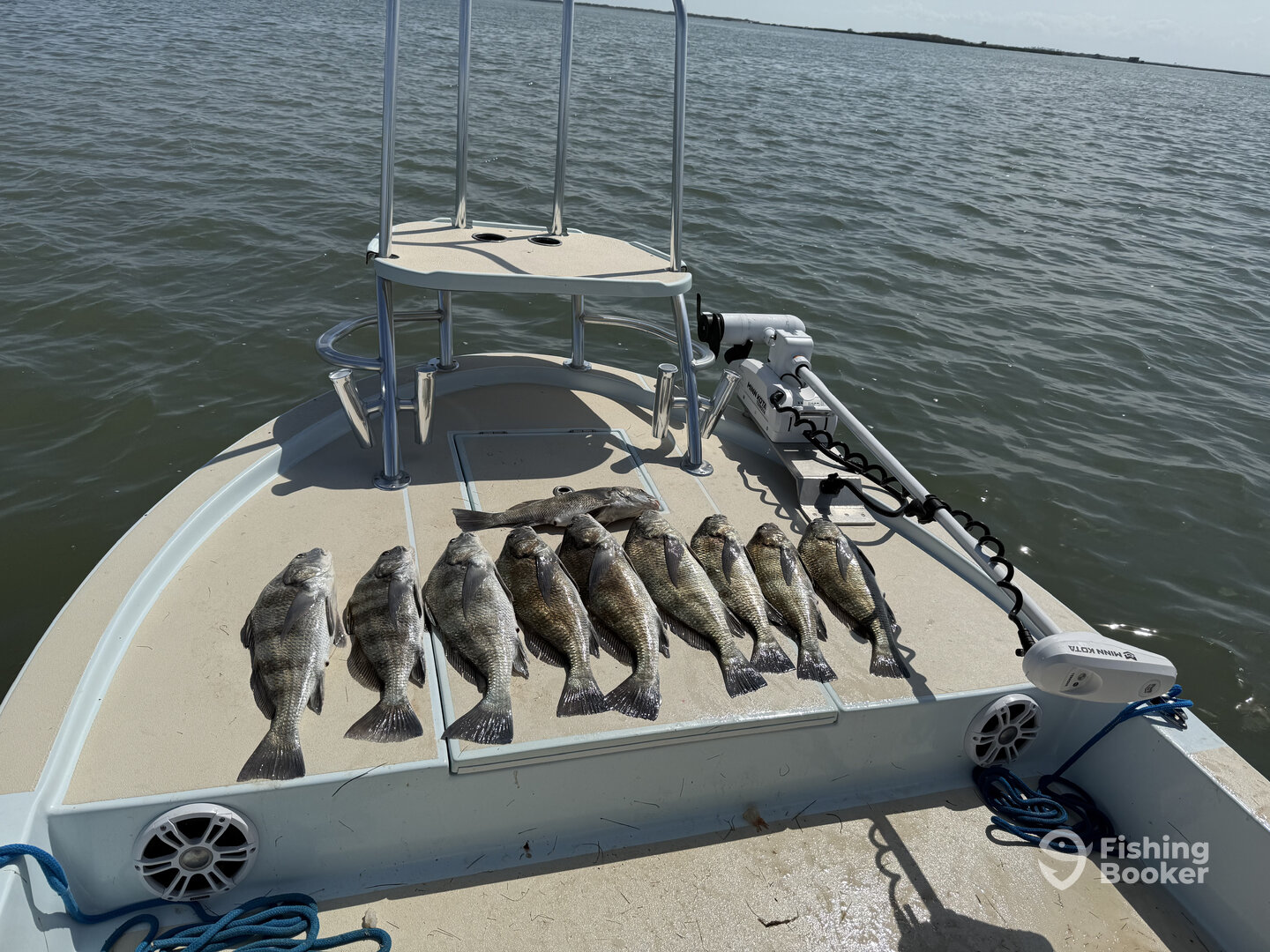 South Padre Island Report Photo 0