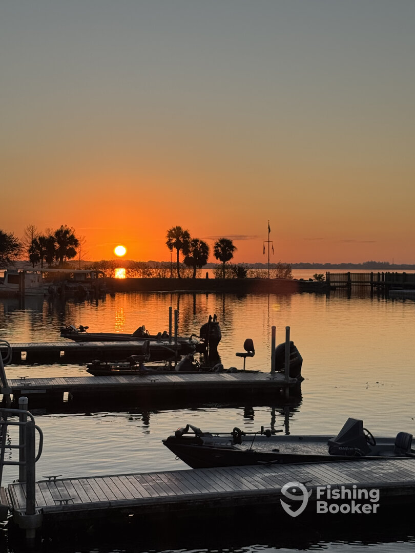 Orlando Report Photo 0