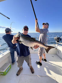 Oswego Report Photo 1