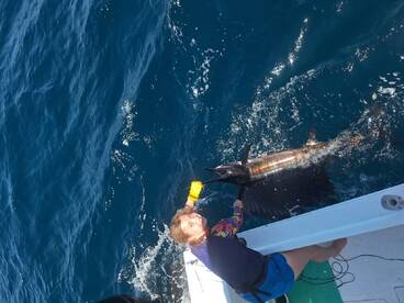 9 sailfish 1 blue marlin 