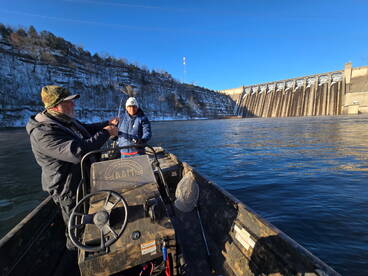 Branson Report Photo 2