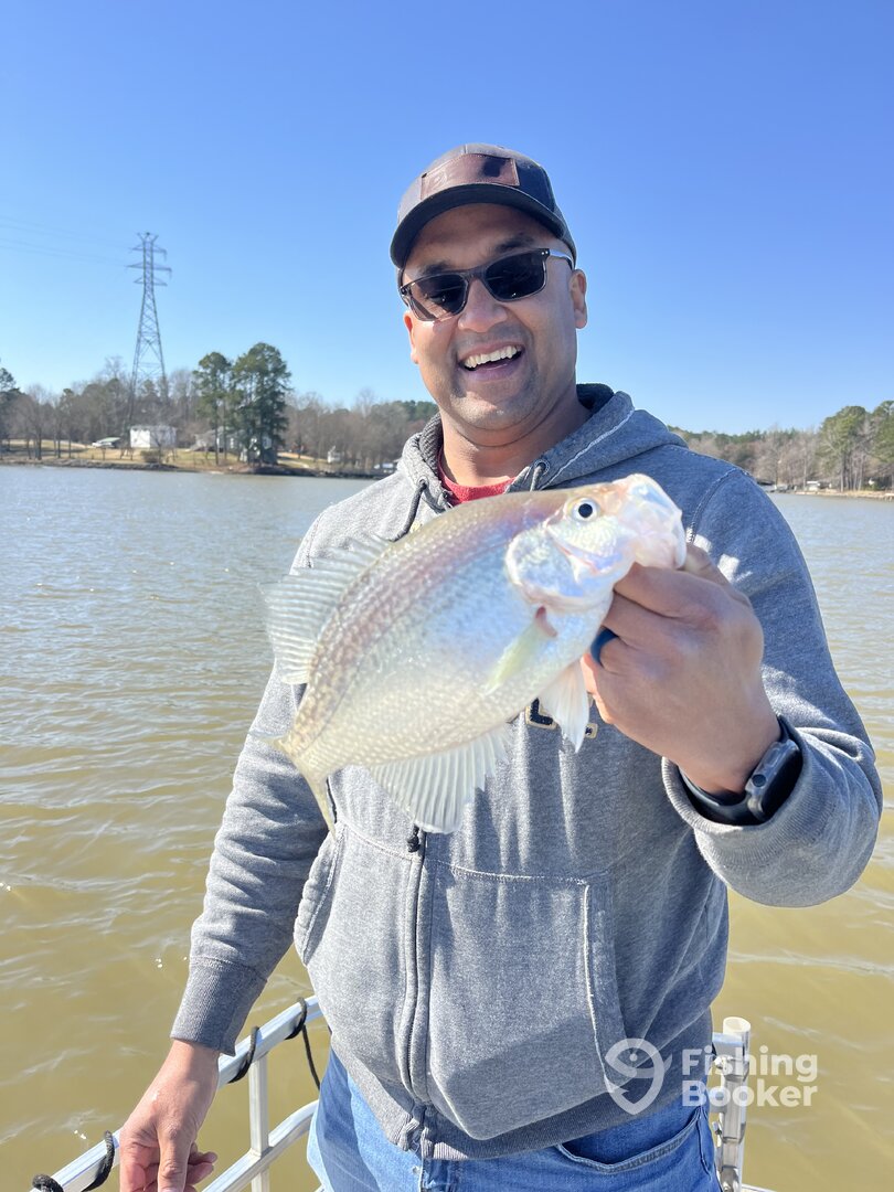 Lake Wylie Report Photo 0