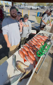 Big Vermilion Snapper