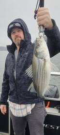 Spring Stripers!