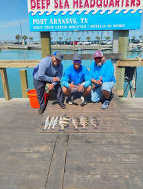 Sheepshead and trout