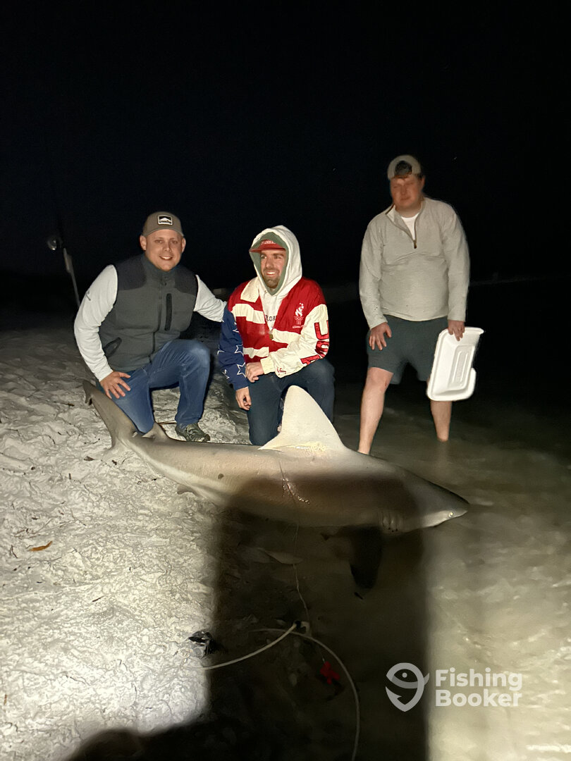 Destin Report Photo 0