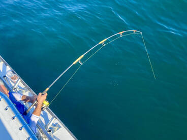 Nags Head Report Photo 1