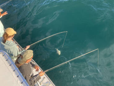 Nags Head Report Photo 2