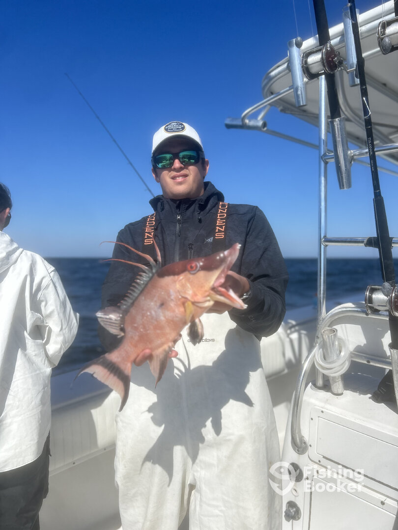 Belleair Bluffs Report Photo 0