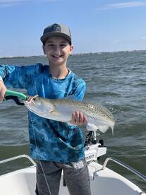 Sarasota Report Photo 1