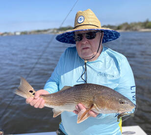 Redfish in the Shallows