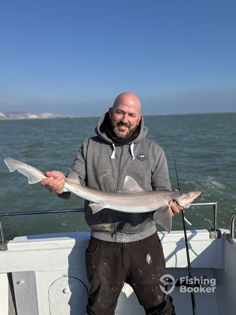 Dover Report Photo 0