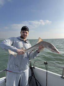 Dover Report Photo 2