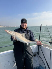 Dover Report Photo 1