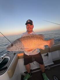 Mangrove Snapper