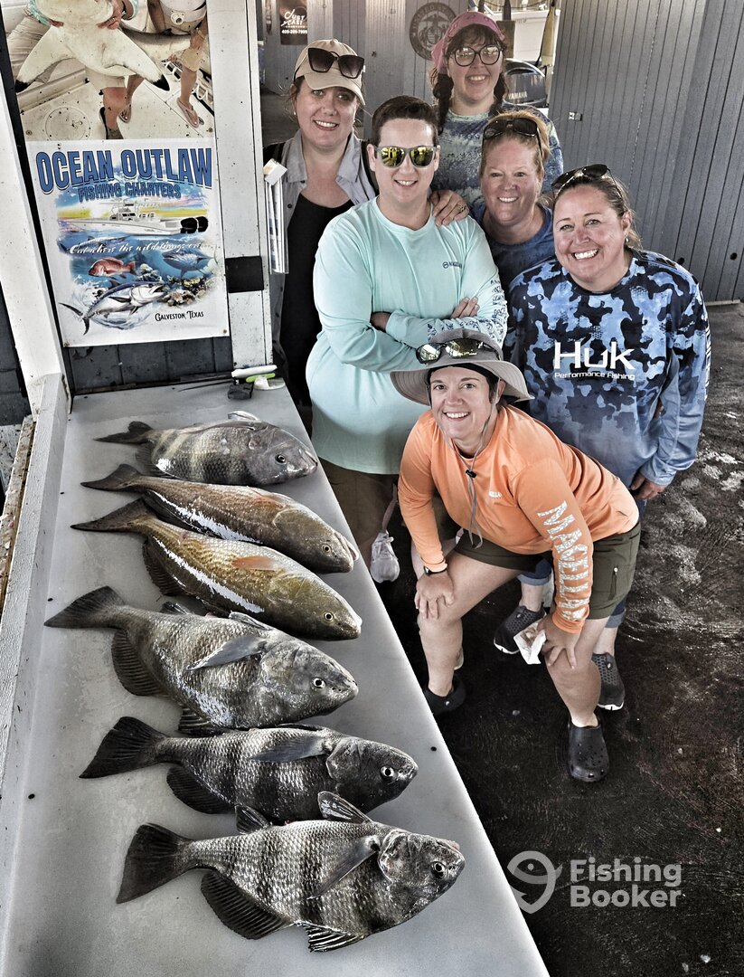 Galveston Report Photo 0