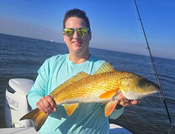 Galveston Report Photo 2